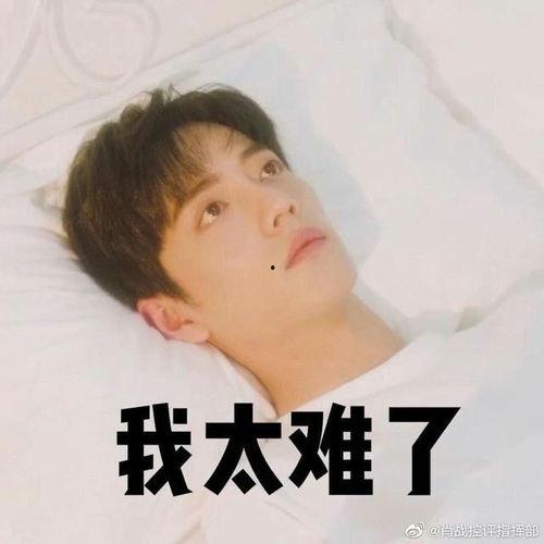 肖战素人爆料视频大全,揭秘明星真实一面